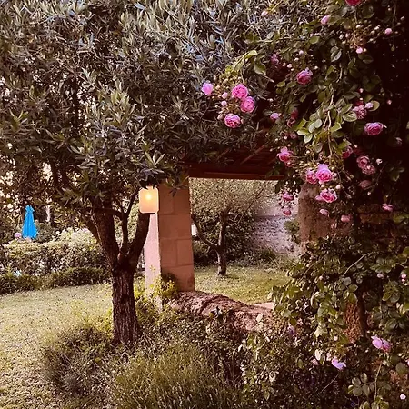 De Charme Avec Jardin Et Piscine Δωμάτια σε οικογενειακή κατοικία Coulonges-sur-l'Autize